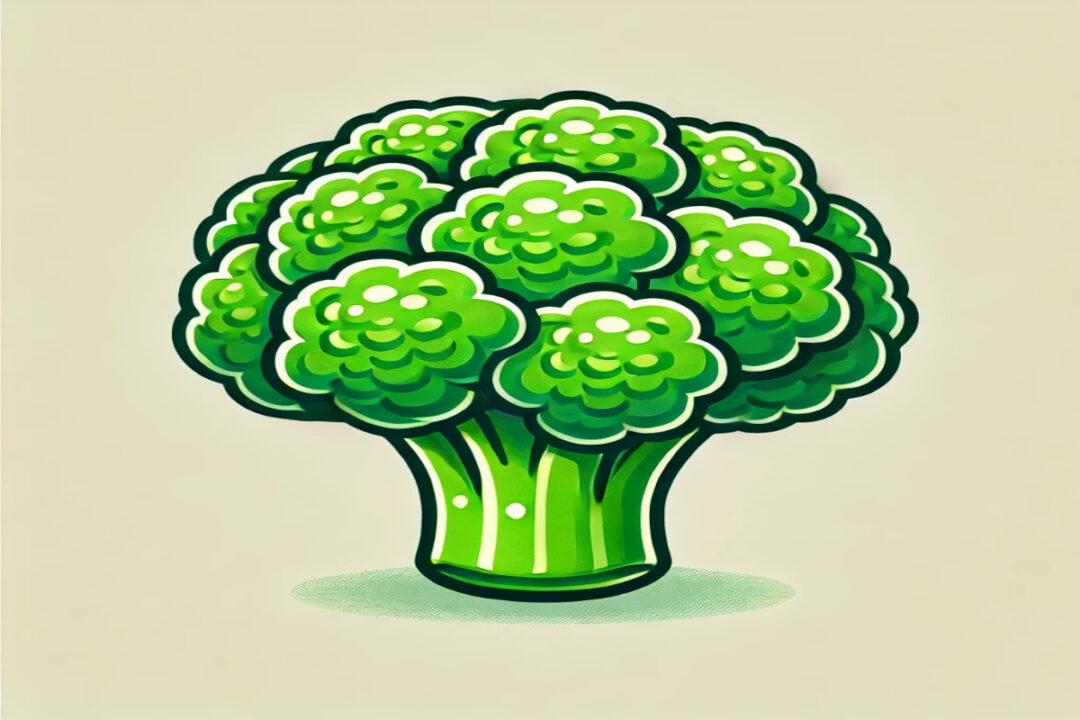 Clipart Broccoli