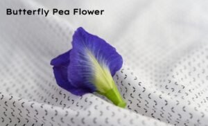 Butterfly Pea Flower