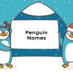 Penguin Names